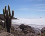 Uyuni Desert