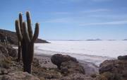 Uyuni Desert