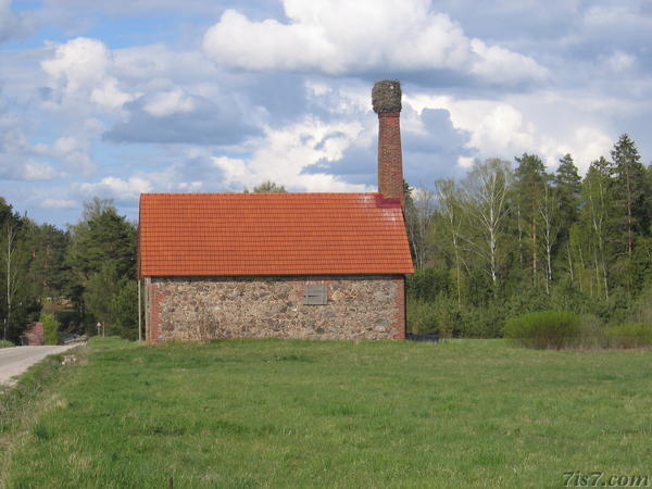 Stork nest on a chimney in 2007