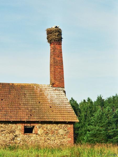 Stork nest on a chimney