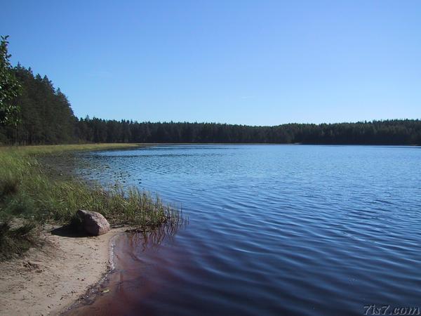 Meenikunno Mustjärv