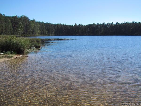 Meenikunno Valgjärv