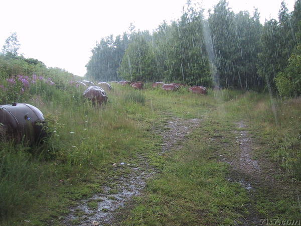 Field of sea mines