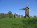 Windmills in Open Air Museum