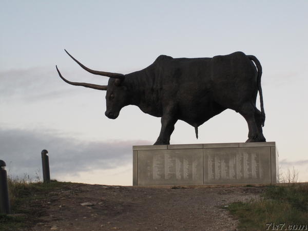 Rakvere Bull