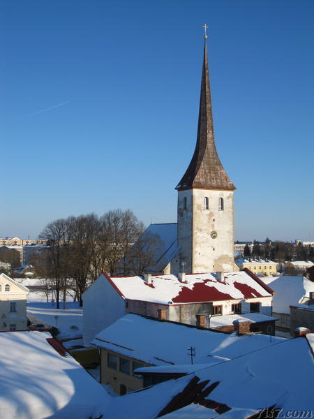 Rakvere's Trinity Church as seen from castle hill