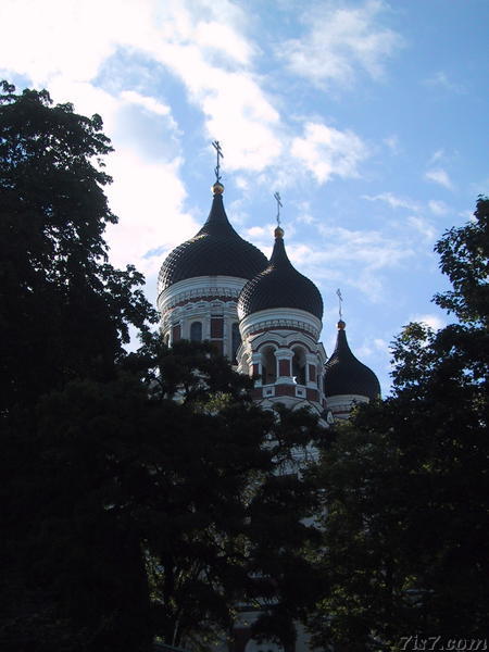 Alexander Nevsky Cathedral through the trees