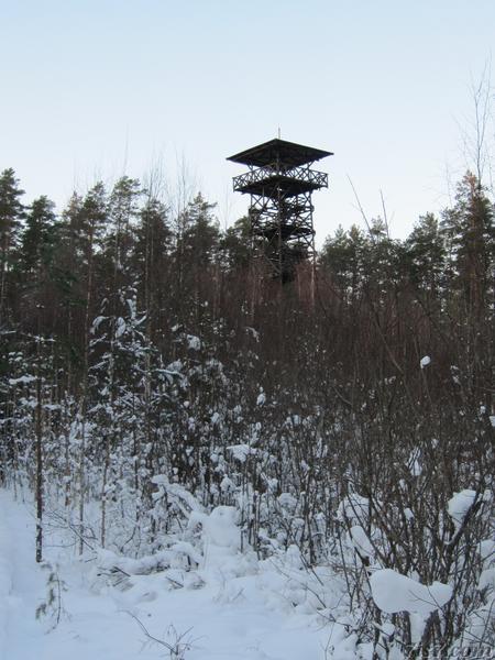 Valgesoo observation tower