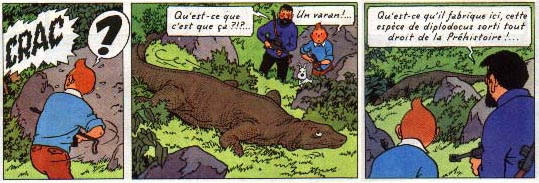 Tintin Comic-Strip Dragon