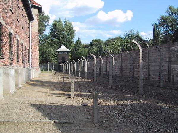 Auschwitz Fence