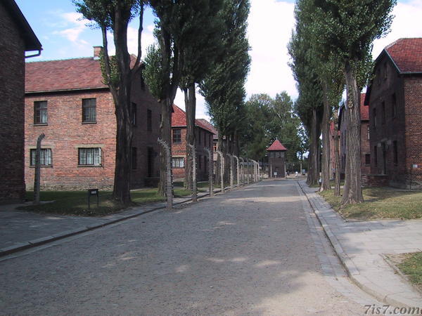 Inside Auschwitz