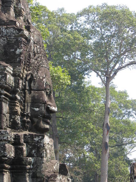 Bayon Giant Face in Profile