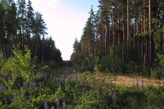 Border marked and fenced off by Russia