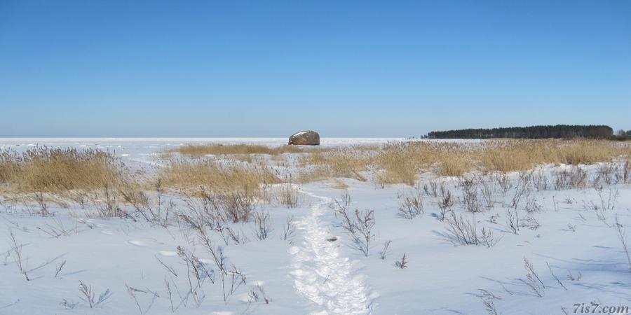 Ehalkivi erratic boulder in winter