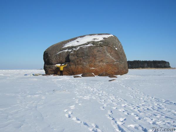 Ehalkivi erratic boulder in winter