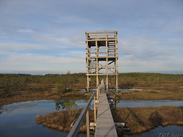 Observation tower