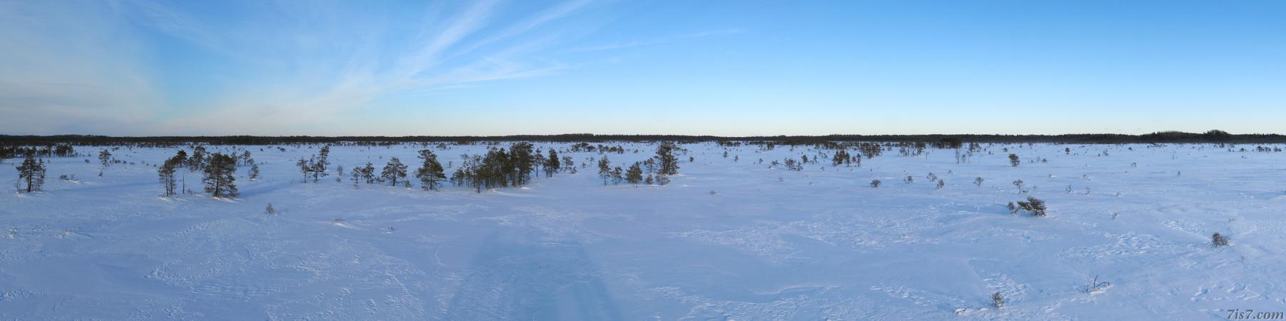 Keava marshland panorama (north)