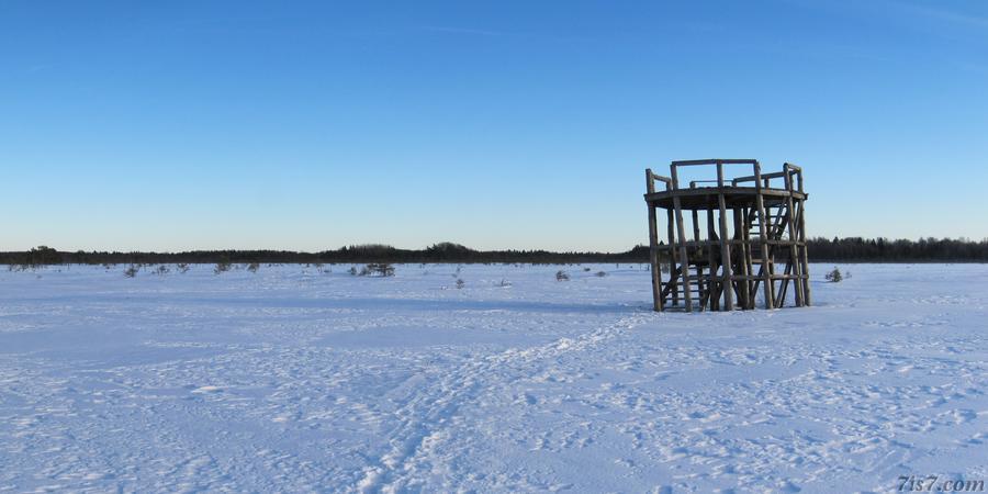 Observation tower in Keava marshland