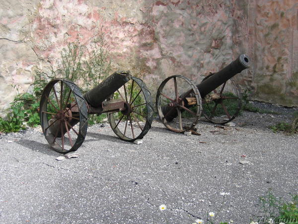 Koluvere Castle cannons