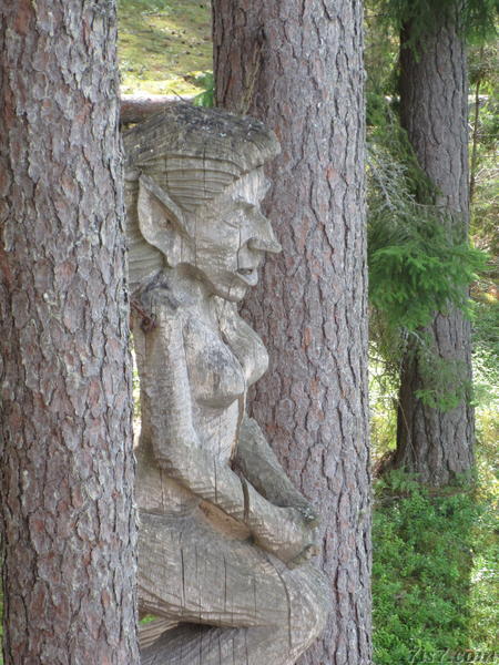 Close-up of the Meenikunno witch