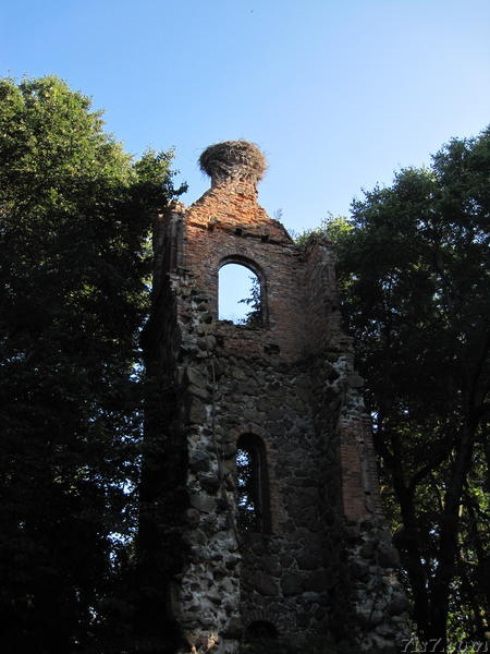 Mehikoorma church tower from behind