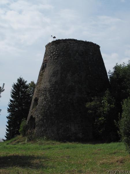 Stork on windmill ruins