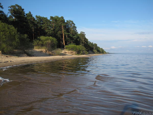 Lake Peipsi shoreline at high water level