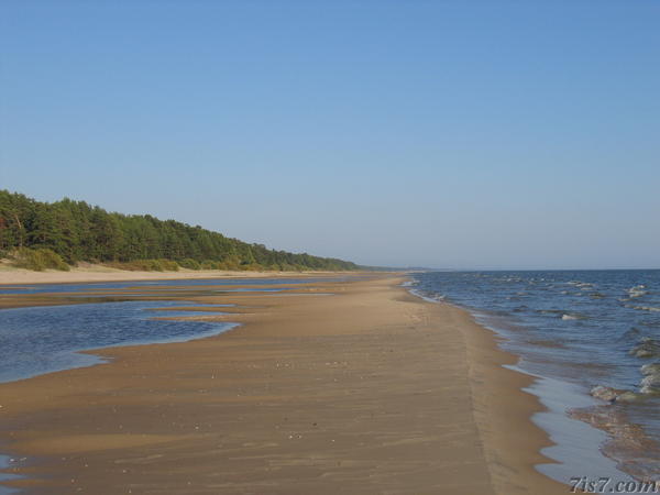 Lake Peipsi shoreline at low water level