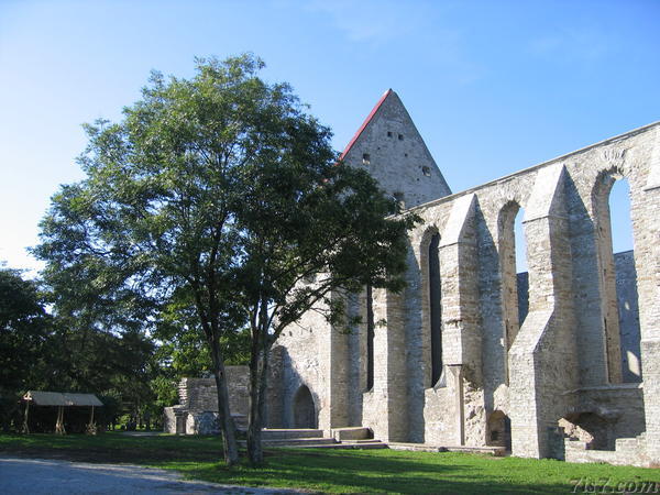 The side of the Pirita convent ruins