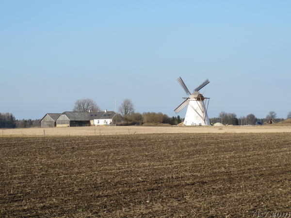Seidla windmill seen from
across the field