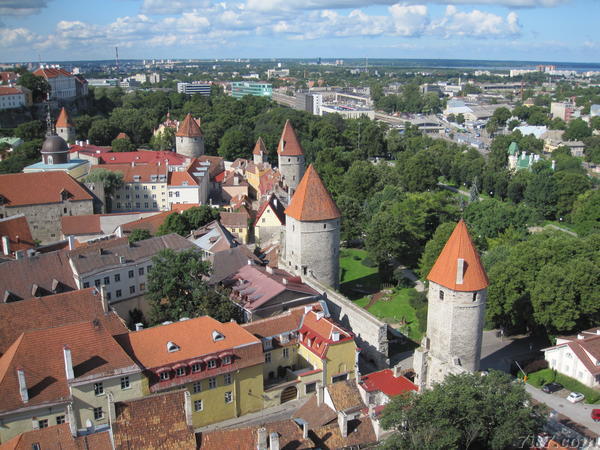 Photo of Tallinn's city wall taken from Oleviste church