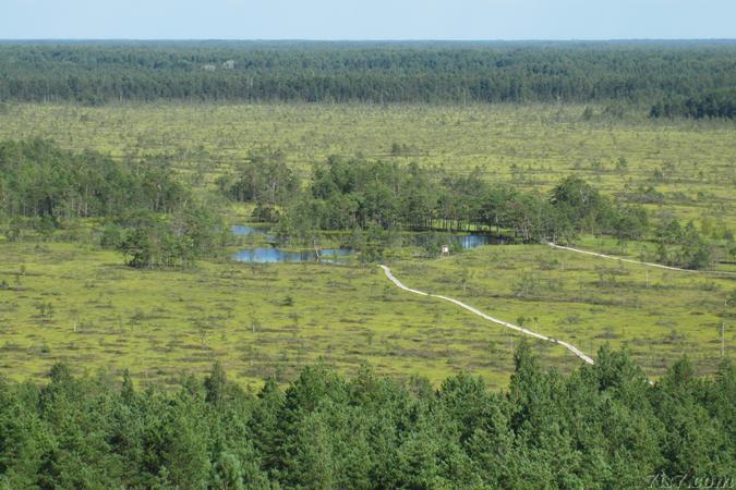 Lakes in Tolkuse bog