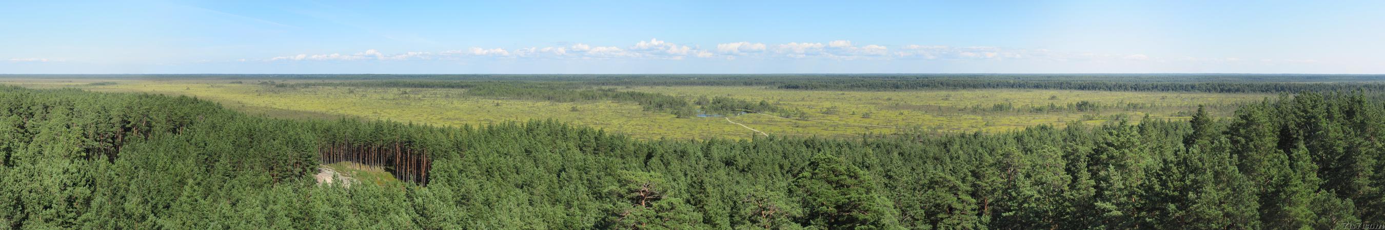 Panorama view over Tolkuse bog