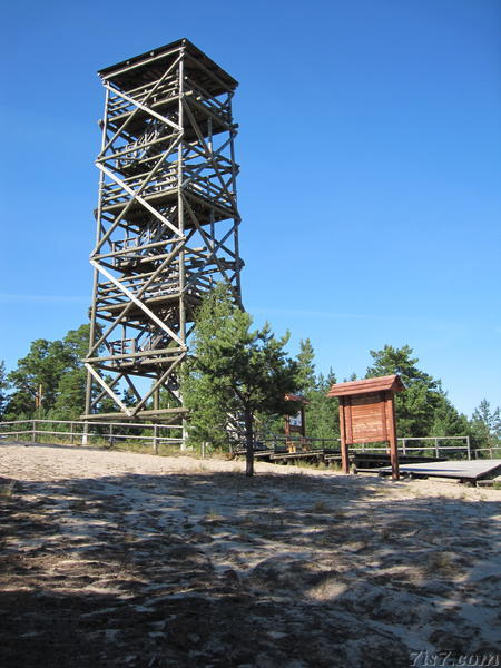 Tolkuse bog viewing tower