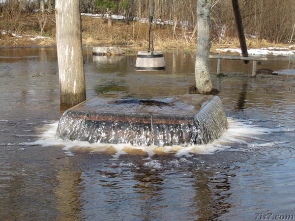 Tuhala Witch's Well boiling over