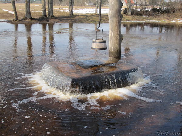 Tuhala Witch's Well boiling over