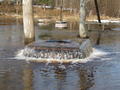 Tuhala Witch's Well