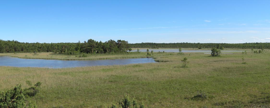 Valgejärv panoramic view