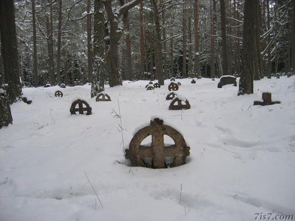 Snow covered tombstones