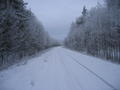 Snowy Road