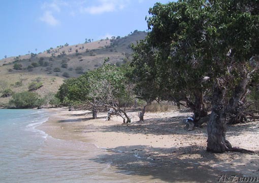 Komodo Beach