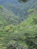 Ometepe Waterfall
