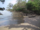 Bocas del Toro Beach