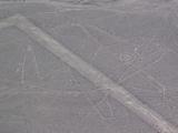 Nazca Lines Whale from the Air