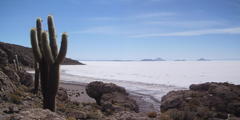 Panorama over the Uyuni Salt Flat from Isla de Pesca