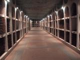 Cricova Wine Cellars