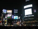 Shibuya Lights and Crowd