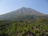 Vegetation around Sakurajima