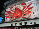 Osaka Landmark Crab
