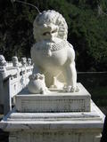 Marble Statue of Lion
